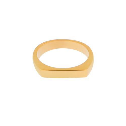 Ring signet bar - size 17 - gold