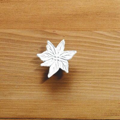 Bouton de porte edelweiss blanc