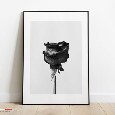 Affiche Rose noir et blanc -42x59,4cm