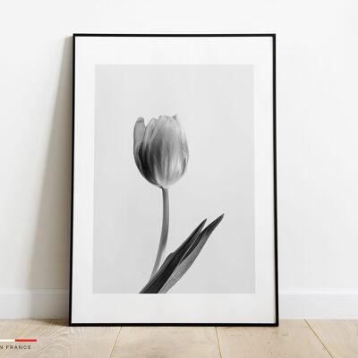 Affiche Tulipe noir et blanc -42x59,4cm