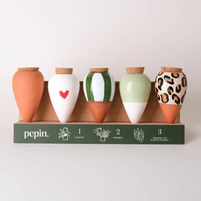 Pack découverte Olla (présentoir offert)