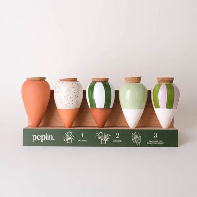 Pacchetto scoperta Olla (espositore offerto)