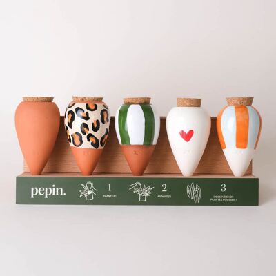 Paquete de descubrimiento de Olla (soporte de exhibición incluido)