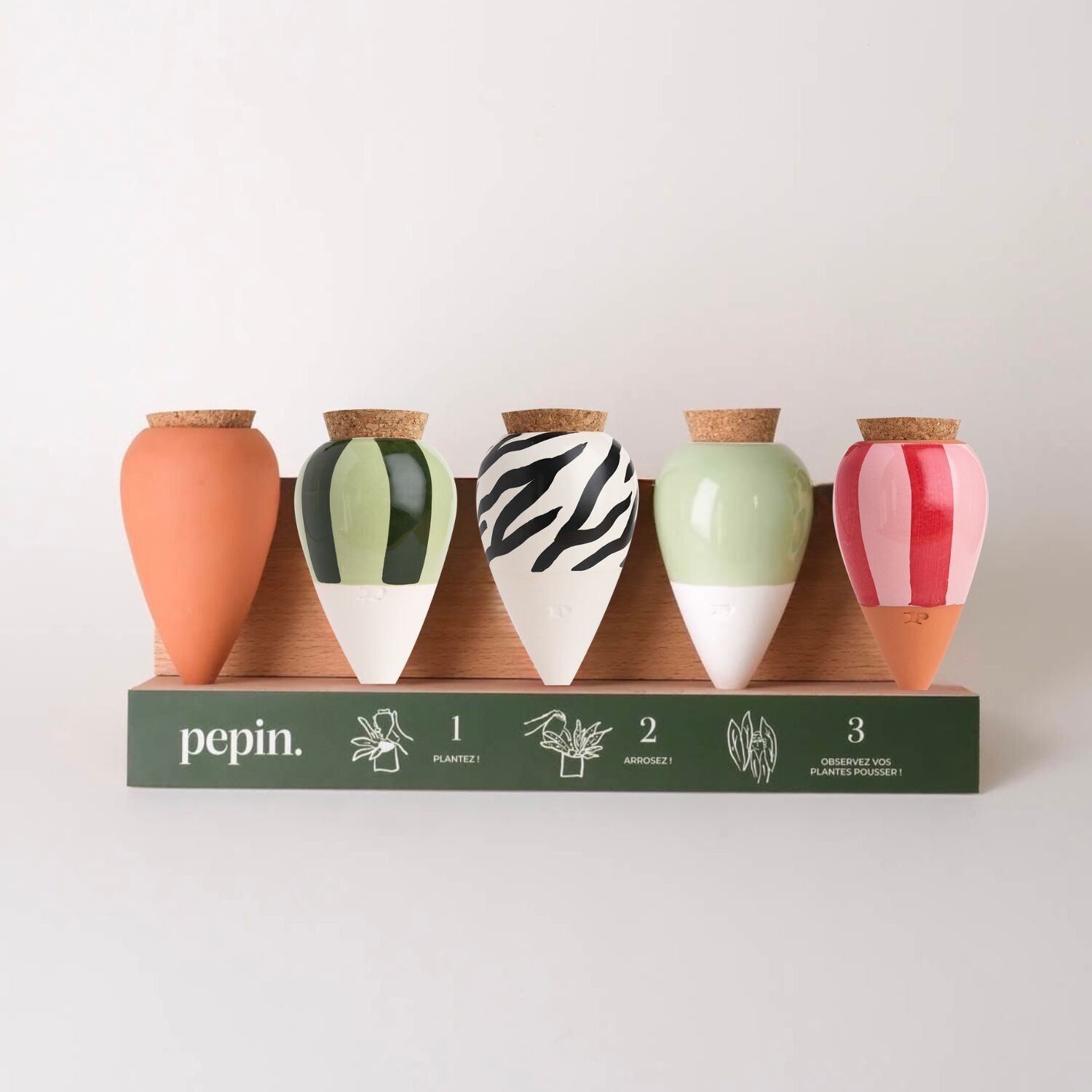 Olla Discovery Pack (free display) - Christmas