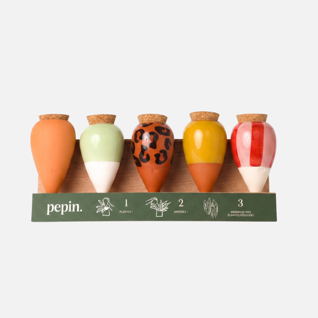 Olla-Entdeckungspaket (Ausstellungsständer angeboten)