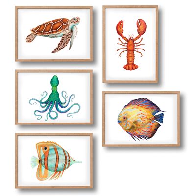 5 affiches animaux marins - format A4 - chambre enfants / crèche bébé