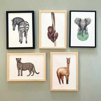 5 affiches animaux de la jungle - format A4 - chambre enfants / crèche bébé 8