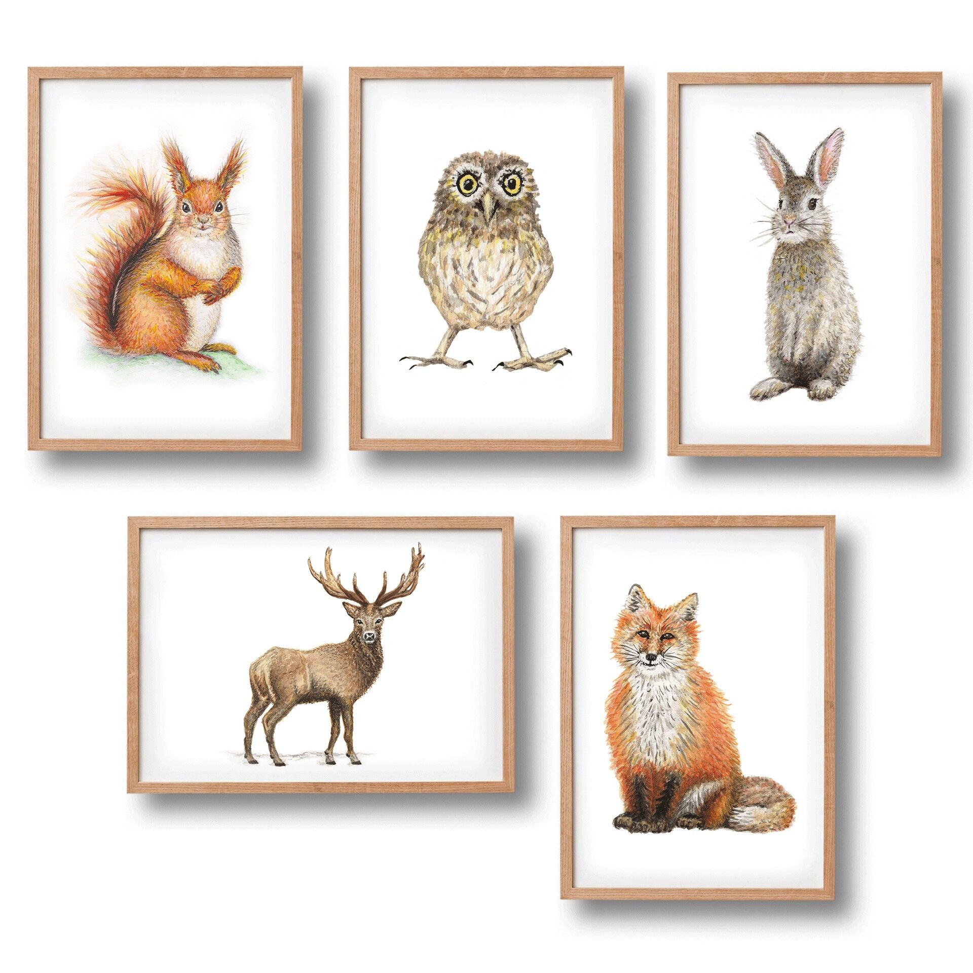 5 poster di animali della foresta - formato A4 - camera dei bambini/asilo nido
