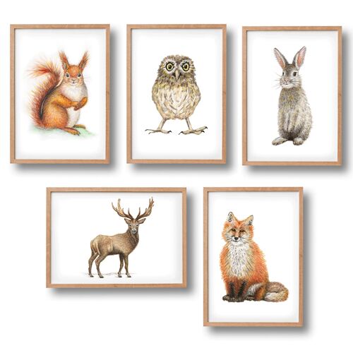 5 animal posters of forest animals - A4 size - kids room / baby nursery