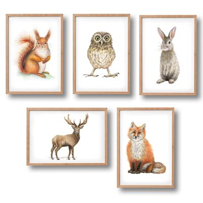 5 carteles de animales del bosque - tamaño A4 - habitación para niños / guardería para bebés