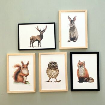 5 affiches animalières d'animaux de la forêt - format A4 - chambre d'enfant / chambre de bébé 8