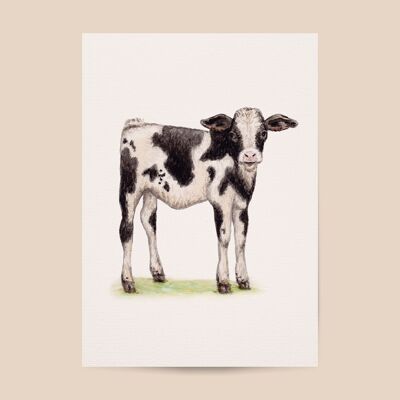 Poster calf cow - A4 or A3 size - kids room / baby nursery