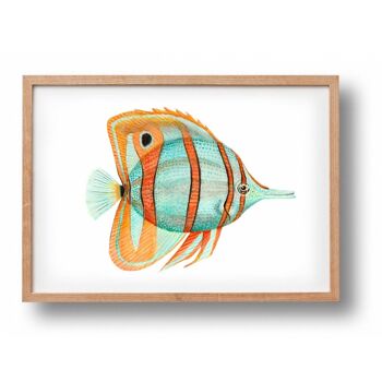 Affiche poissons tropicaux bleu/orange - format A4 ou A3 - chambre enfant / chambre bébé 2