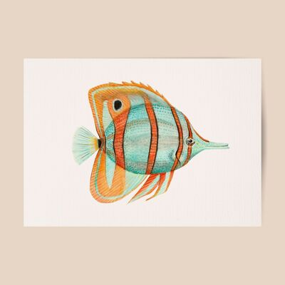 Poster tropical fish blue / orange - A4 or A3 size - kids room / baby nursery