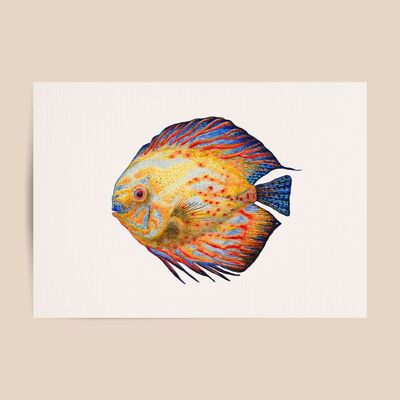 Poster tropical fish - A4 or A3 size - kids room / baby nursery
