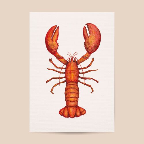 Lobster poster - A4 or A3 size - kids room / baby nursery