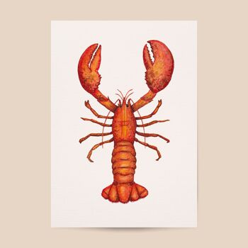 Affiche de homard - taille A4 ou A3 - chambre d'enfants / crèche de bébé 1