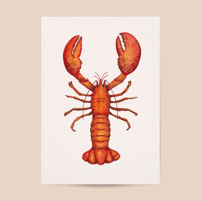 Lobster poster - A4 or A3 size - kids room / baby nursery