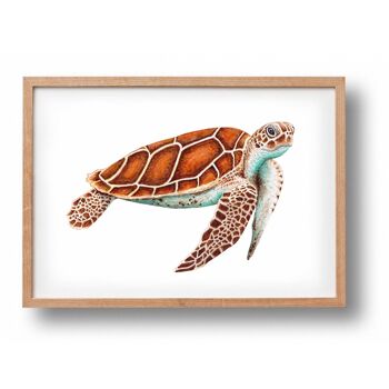 Affiche tortue de mer - taille A4 ou A3 - chambre pour enfants / crèche pour bébé 2