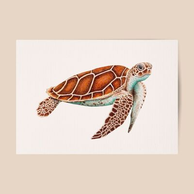 Sea turtle poster - A4 or A3 size - kids room / baby nursery