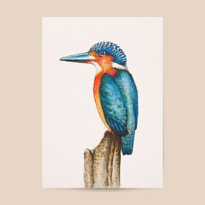 Poster kingfisher - A4 or A3 size - kids room / baby nursery