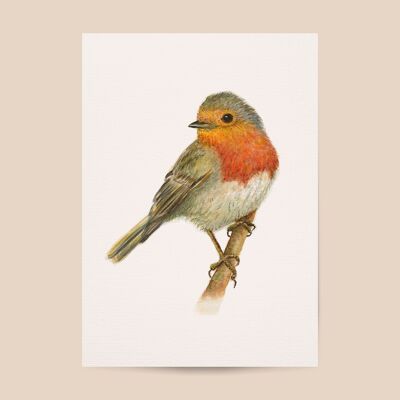 Robin poster - A4 or A3 size - kids room / baby nursery