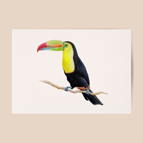 Poster toucan - A4 or A3 size - kids room / baby nursery