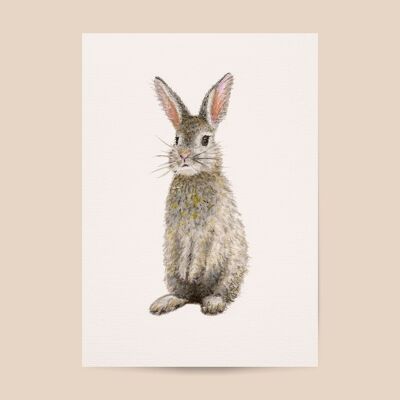 Poster rabbit - A4 or A3 size - kids room / baby nursery