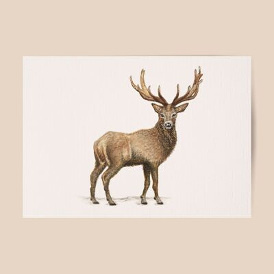 Poster deer - A4 or A3 size - kids room / baby nursery