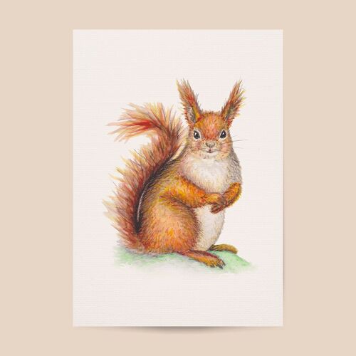 Poster squirrel - A4 or A3 size - kids room / baby nursery