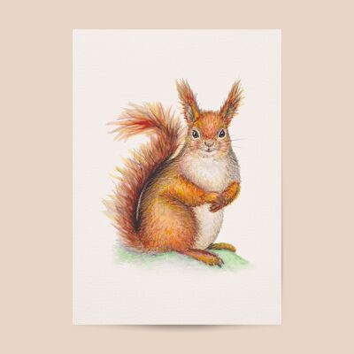 Poster squirrel - A4 or A3 size - kids room / baby nursery