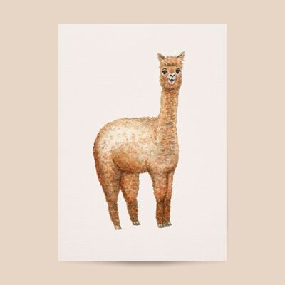 Póster alpaca - tamaño A4 o A3 - habitación para niños / guardería para bebés