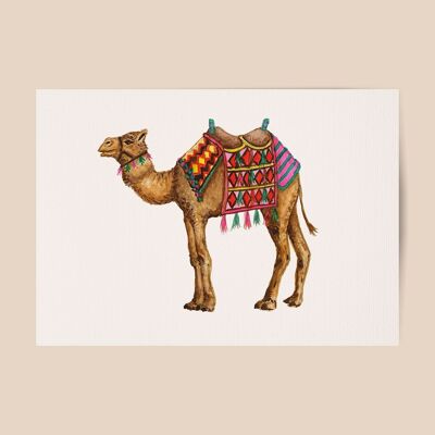 Poster camel - A4 or A3 size - kids room / baby nursery