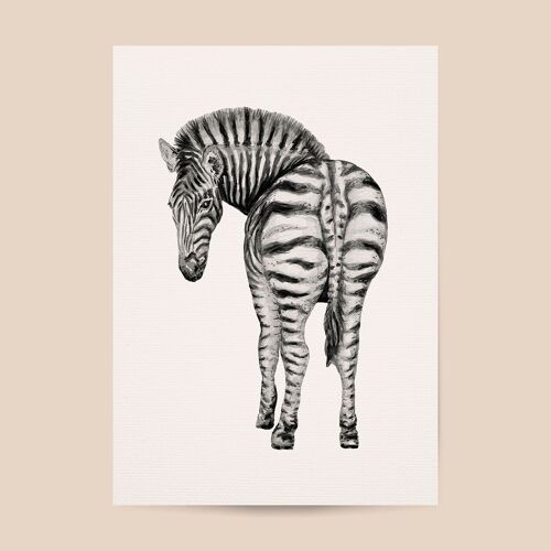 Poster zebra - A4 or A3 size - kids room / baby nursery