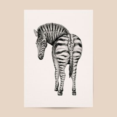 Poster zebra - formato A4 o A3 - camera dei bambini/asilo nido