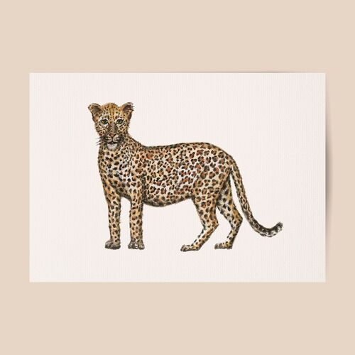 Leopard poster - A4 or A3 size - kids room / baby nursery