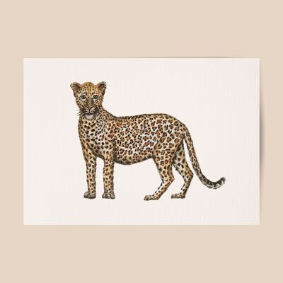 Cartel de leopardo - tamaño A4 o A3 - habitación para niños / guardería para bebés