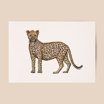 Affiche léopard - taille A4 ou A3 - chambre d'enfants / crèche de bébé 1