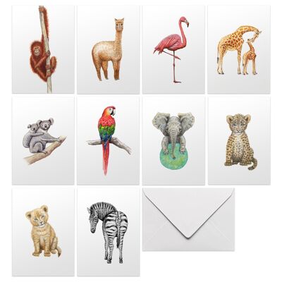 10 greeting cards tropical animals with envelope