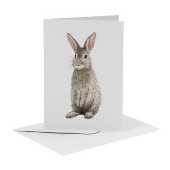 10 cartes de voeux Animaux hollandais avec enveloppe 3