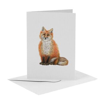 10 cartes de voeux Animaux hollandais avec enveloppe 7