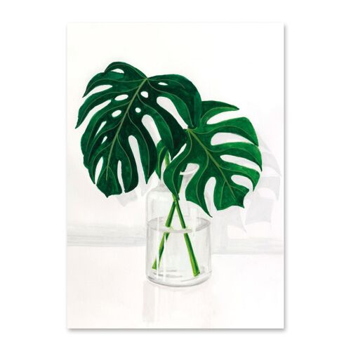 Carte postale Monstera