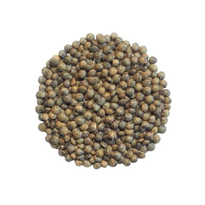 Organic seed seeds green lentils 100g