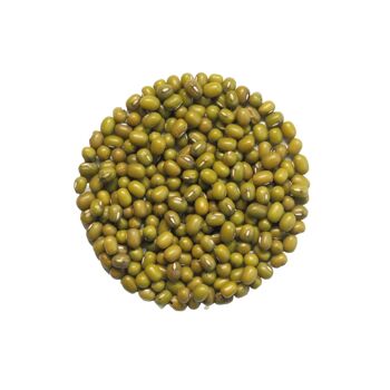 Graines germées bio Haricots mungo 100g 1