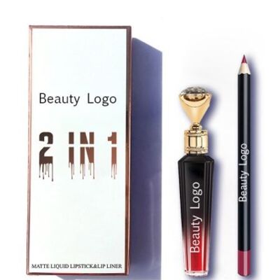 2 in 1 Lip Gloss and Lip Liner Luxury Premium Quality