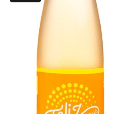 Kombucha L'aventurier : Gingembre & Citron 75cl "meilleur produit bio 2021"