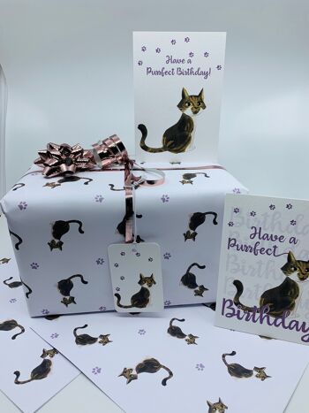 Papier d'emballage de chats mignonsEmballage cadeau sur le thème des chats ISLA 2