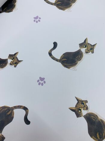Papier d'emballage de chats mignonsEmballage cadeau sur le thème des chats ISLA 4