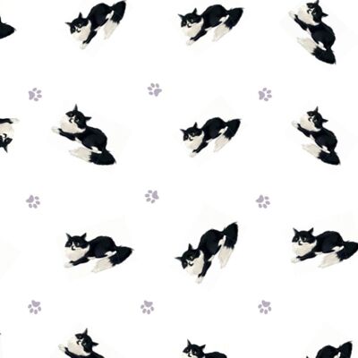 Cute Cats Wrapping Paper LEO, Cat Themed Gift Wrap