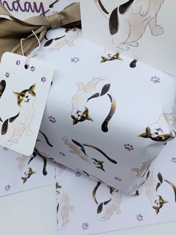 Papier cadeau chats mignons Emballage cadeau sur le thème des chats FERGUS 8